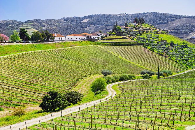 douro-valley-private-day-tour-from-porto