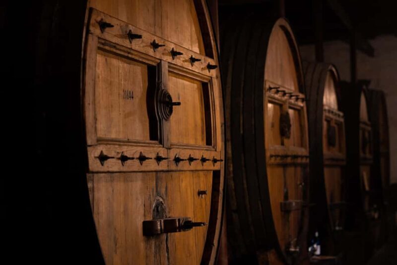 Douro Valley: Private Lunch with Wine & Olive Oil Tasting - The Sum Up