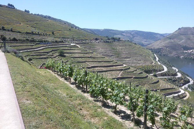 douro-valley-private-premium-tour-with-wine-tasting-1-to-4-people