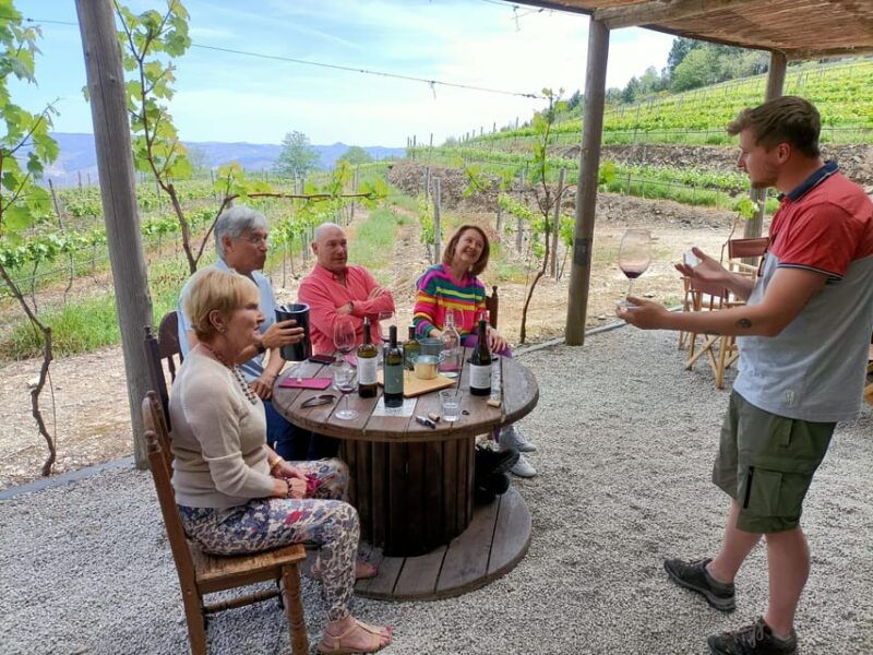 douro-valley-private-sommelier-tour-with-3-wineries-lunch
