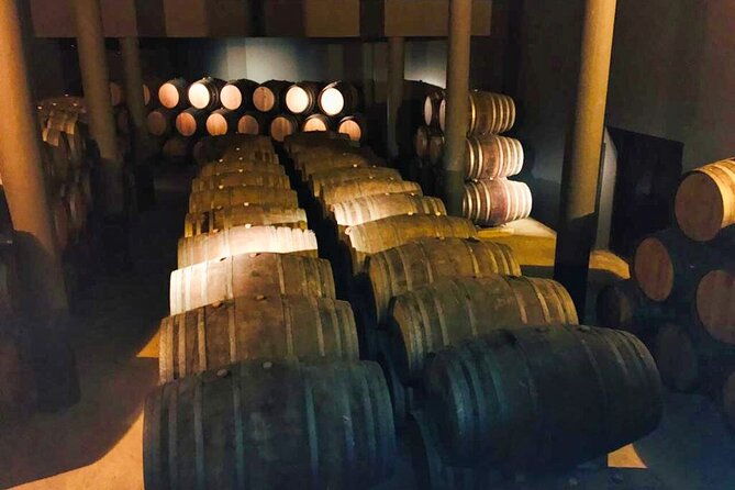 douro-valley-private-tour-2-farms-lunch-boat-trip