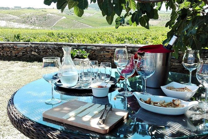douro-valley-private-tour-all-inclusive-port-tasting-and-lunch