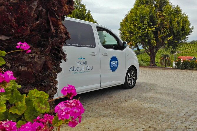 douro-valley-private-tour-all-inclusive-port-tasting-and-lunch