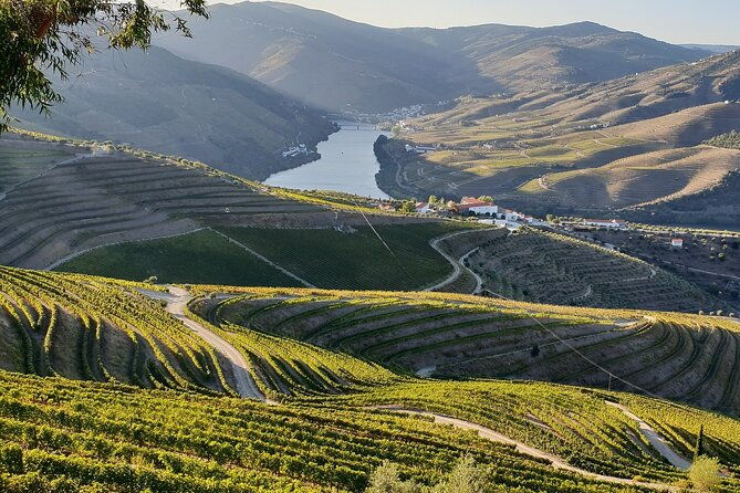 douro-valley-private-tour-all-inclusive-port-tasting-and-lunch
