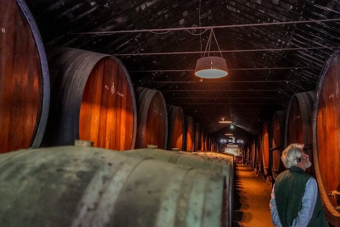 douro-valley-private-tour-from-lisbon