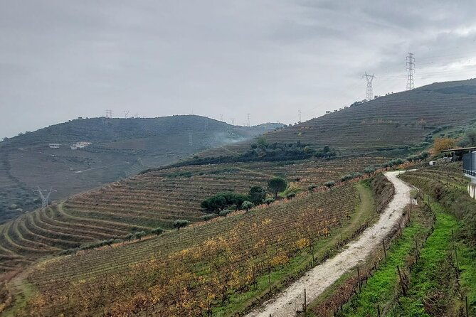 douro-valley-private-tour-full-day