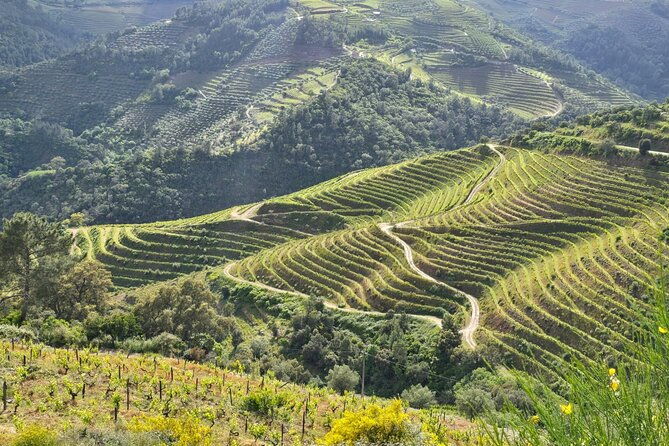 douro-valley-private-tour-full-day