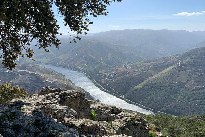 douro-valley-private-tour-includes-wine-tasting-and-boat-trip