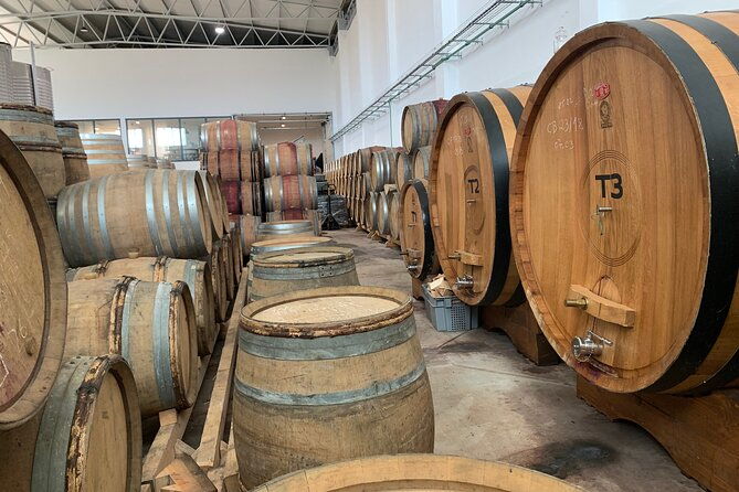 douro-valley-private-tour-includes-wine-tasting-and-boat-trip