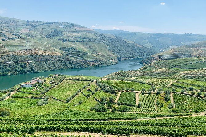 douro-valley-private-tour-includes-wine-tasting-and-boat-trip