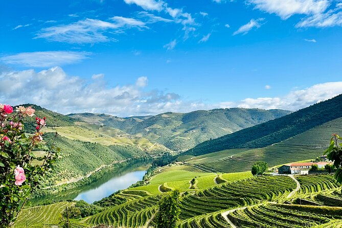 douro-valley-private-tour-includes-wine-tasting-and-boat-trip