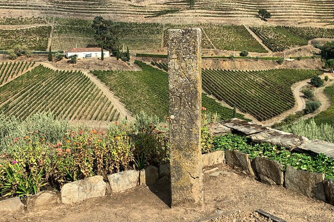 douro-valley-private-tour-includes-wine-tasting-and-boat-trip