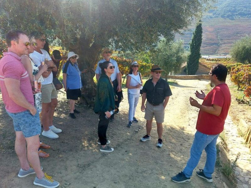 douro-valley-private-tour-wine-experience-including-lunch