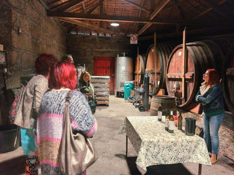 douro-valley-private-tour-wine-experience-including-lunch
