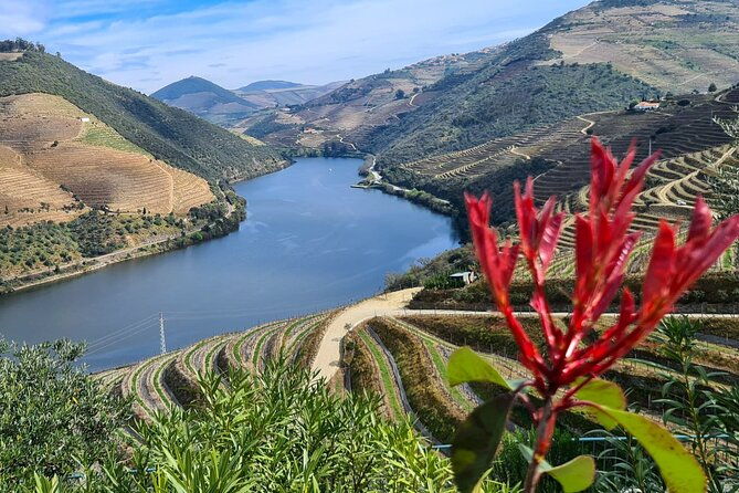 douro-valley-private-tour-winery-boat-viewpoint