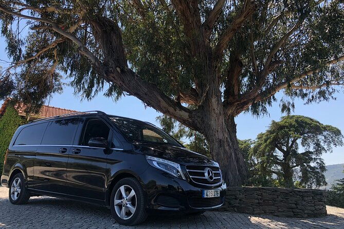 douro-valley-private-tour-with-tasting-included