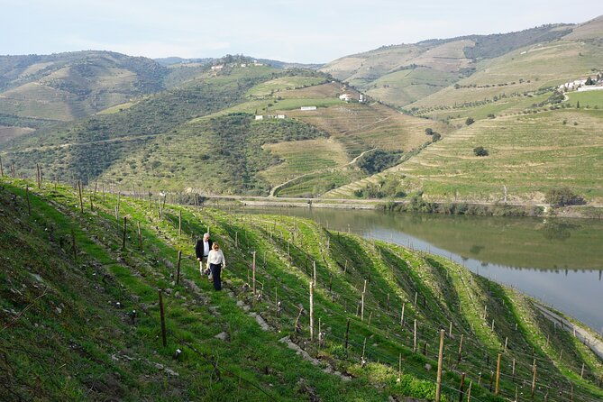 douro-valley-private-tour-with-wine-tasting-and-boat-tour