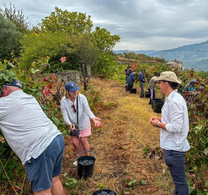Douro Valley: Private Wine & Food Tour Away from Crowds - An In-Depth Look at the Douro Valley Private Tour