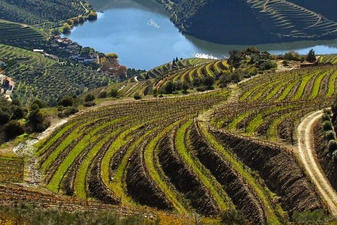 Douro Valley Private Wine Tour from Lisbon - Exploring the Douro Valley Private Wine Tour from Lisbon