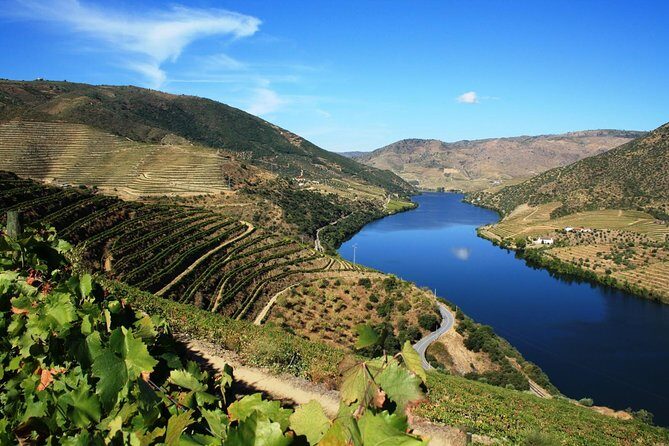 Douro Valley Private Wine Tour from Lisbon - An In-Depth Look at the Douro Valley Private Wine Tour