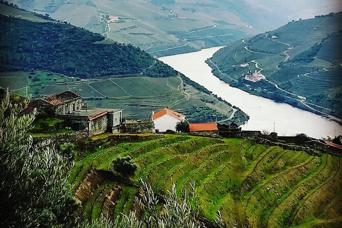 Douro Valley Private Wine Tour from Lisbon - Who Is This Tour Best For?