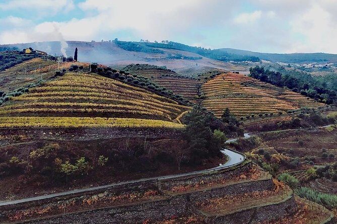 Douro Valley Private Wine Tour from Lisbon - FAQs