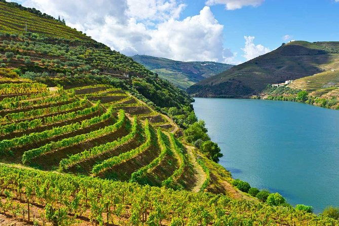 douro-valley-private-wine-tour-from-porto