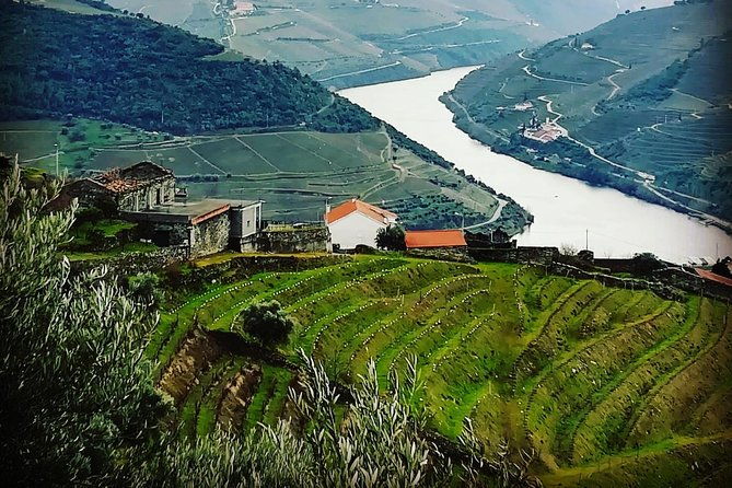 douro-valley-private-wine-tour-from-porto