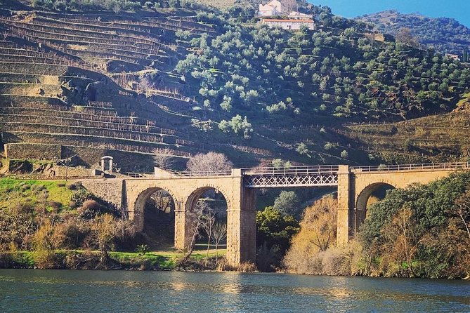 douro-valley-private-wine-tour-from-porto