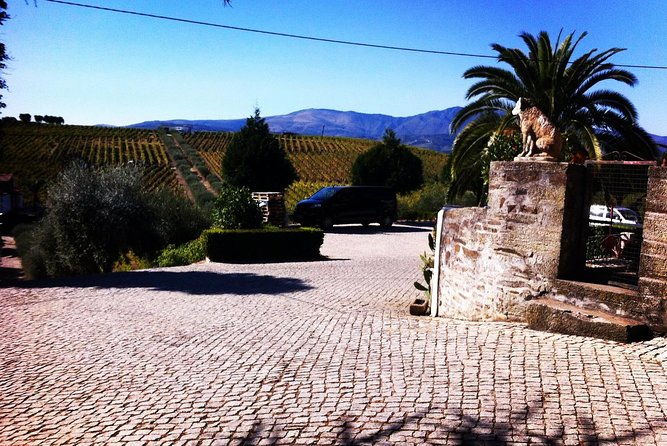 douro-valley-private-wine-tour-from-porto