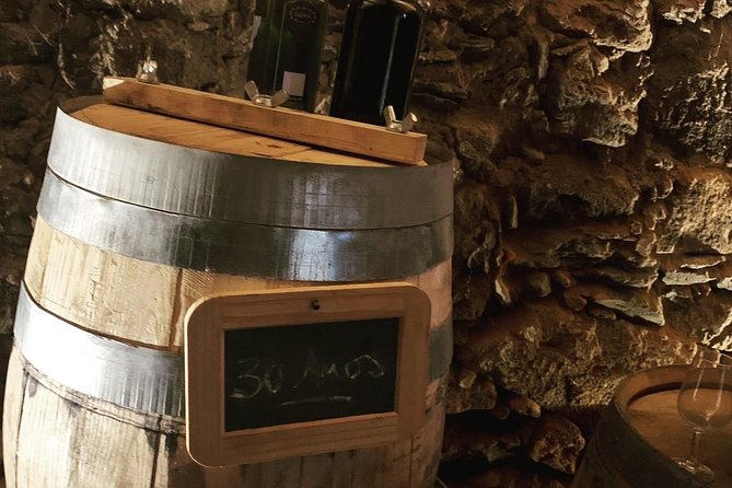 douro-valley-private-wine-tour-from-porto