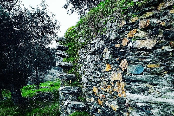 douro-valley-private-wine-tour-from-porto