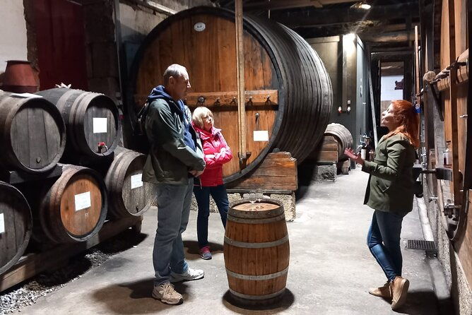 douro-valley-private-wine-tour-winerys-lunch-boat-from-porto