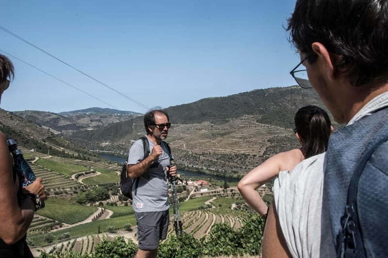 Douro Valley: Provesende and São Cristóvão Guided Hike - Introduction: Why Choose This Douro Valley Hike