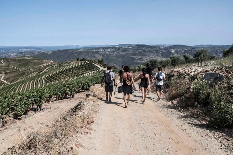 Douro Valley: Provesende and São Cristóvão Guided Hike - Itinerary Breakdown: What to Expect