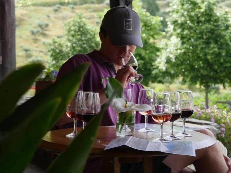 douro-valley-quinta-do-tedo-winery-tour-and-tasting
