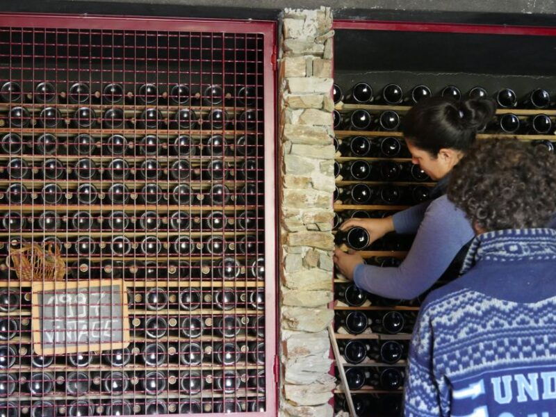 douro-valley-quinta-do-tedo-winery-tour-and-tasting