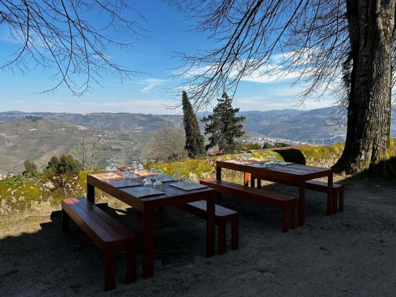 Douro Valley: Quinta Santa Júlia Tour, Wine Tasting & Lunch - A Closer Look at the Experience