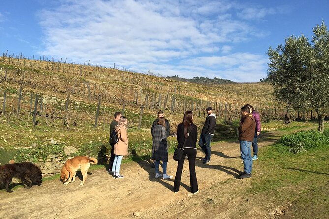 douro-valley-real-small-group-tour-wine-tasting-lunch-boat