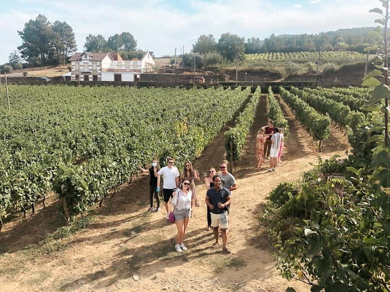 Douro Valley: Real Small-Group, Wine Tasting, Lunch & Boat - Key Points