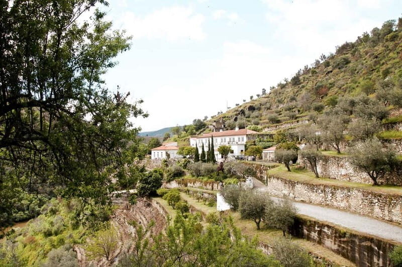 Douro Valley: Real Small-Group, Wine Tasting, Lunch & Boat - Final Thoughts