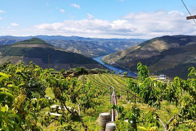 Douro Valley Small-Group Tour: 2 Wineries, Lunch, Optional Cruise - Value for Money