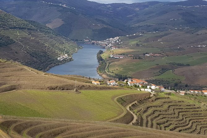 douro-valley-tour-2-vineyard-visits-river-cruise-winery-lunch