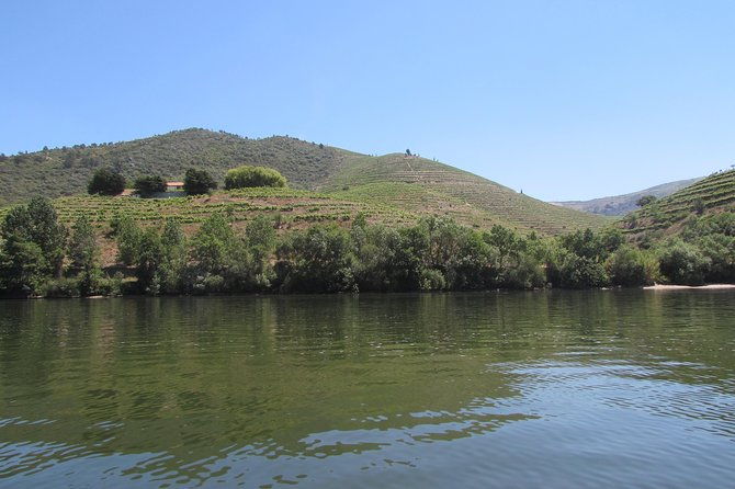 douro-valley-tour-2-vineyard-visits-river-cruise-winery-lunch