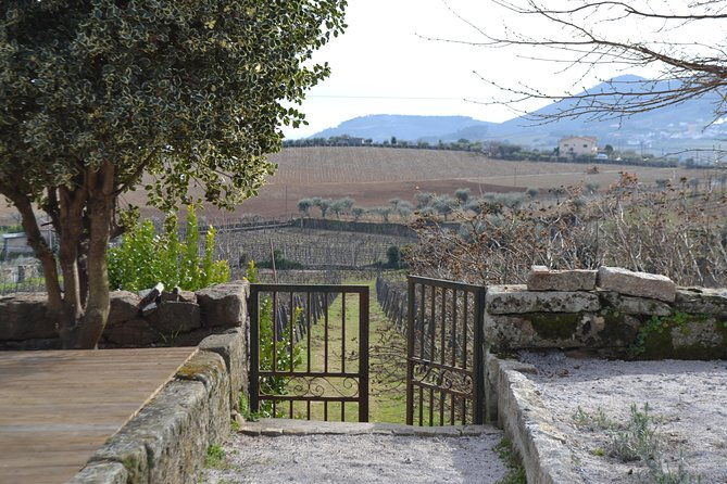 douro-valley-tour-2-vineyard-visits-river-cruise-winery-lunch