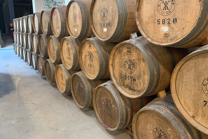 Douro Valley Tour from Peso da Regua - Who Should Consider This Tour?