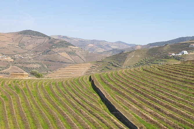 douro-valley-tour-wine-and-breathtaking-views-2