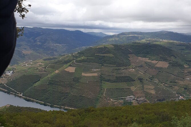 douro-valley-tour-wine-and-breathtaking-views-2