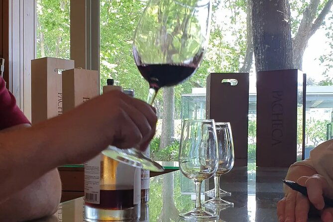 douro-valley-tour-wine-and-breathtaking-views