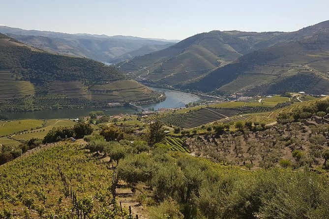 douro-valley-tour-wine-and-breathtaking-views